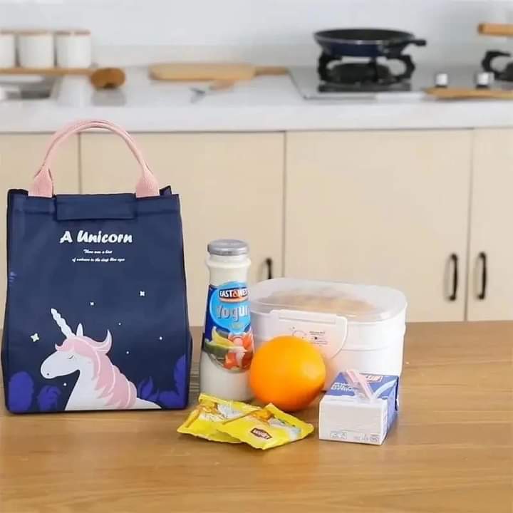 Insulated Food Bag