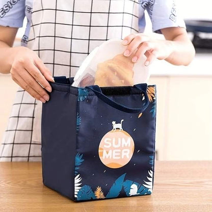 Insulated Food Bag