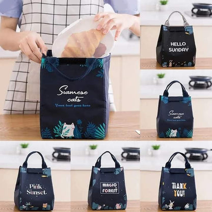 Insulated Food Bag
